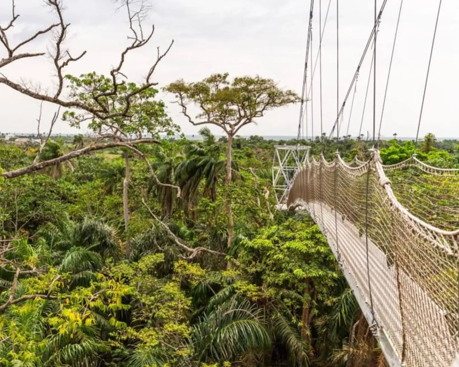 A Guide to 13 Fun Things to do at Lekki Conservation Centre