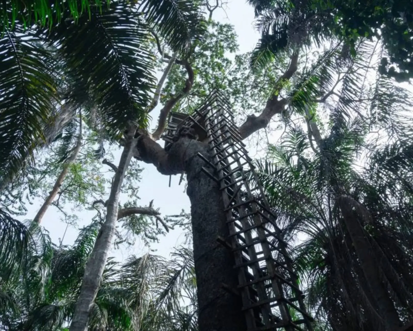 A Guide to 13 Fun Things to do at Lekki Conservation Centre