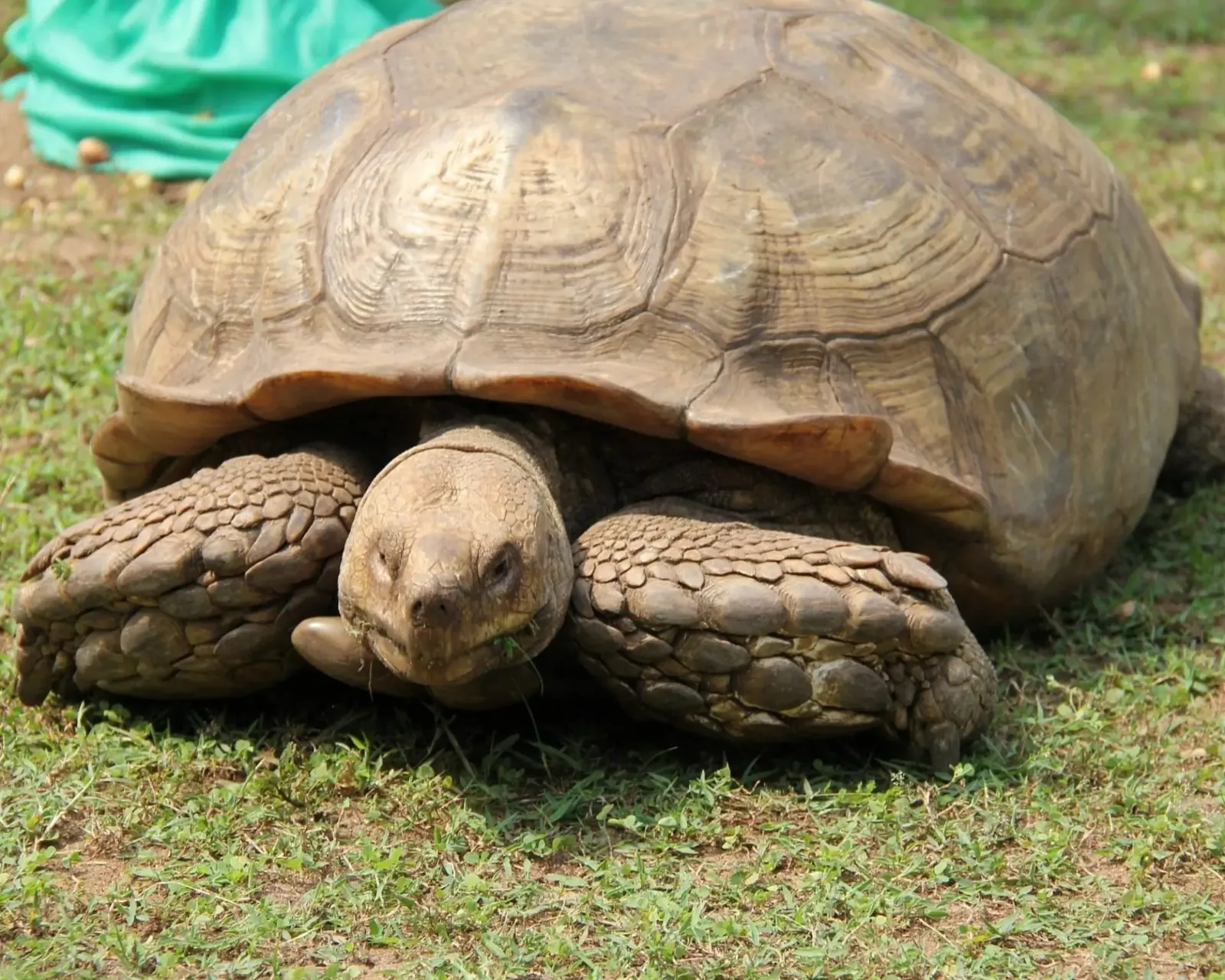 A Guide to 13 Fun Things to do at Lekki Conservation Centre