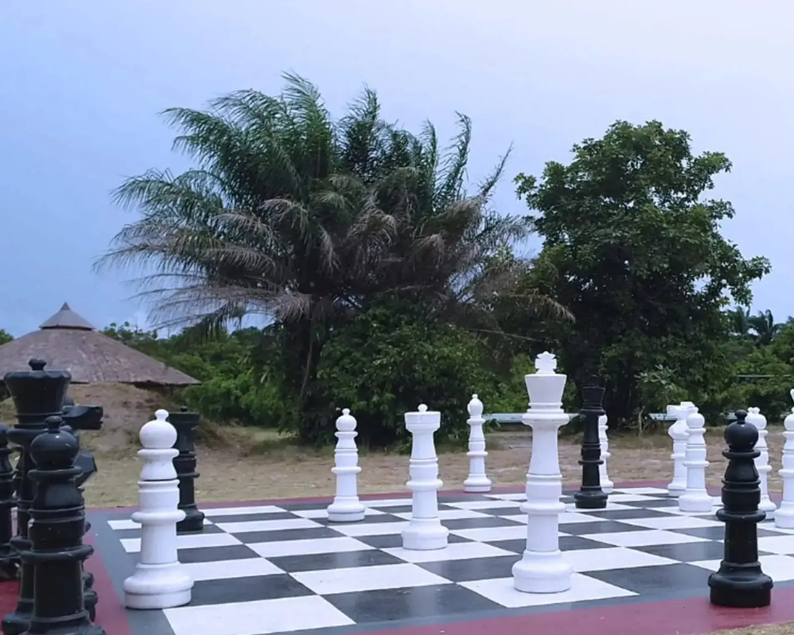 A Guide to 13 Fun Things to do at Lekki Conservation Centre